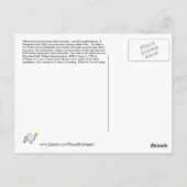 William Bierschwale Home, Fredericksburg, TX ポストカード (裏面)