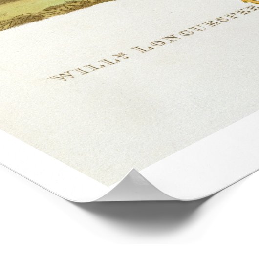 William de Longuespee, Earl of Salisbury (d.12) ポスター (角)