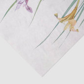 William Dykesによるアイリスマクロサイフォン 薄葉紙 (詳細)