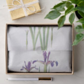 William DykesによるIris StintenisiiとIris Spuria 薄葉紙 (ギフト)