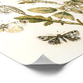 William Forsell Kirby Chours and Moths ポスター (角)