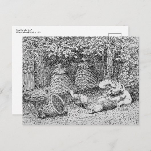 William H. Beard - Bear Stung by Beesはがき ポストカード (正面/裏面)