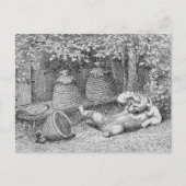 William H. Beard - Bear Stung by Beesはがき ポストカード (正面)