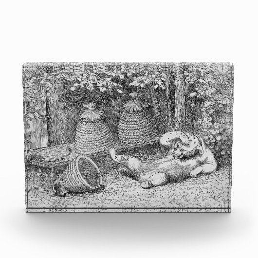 William H. Beard - Bear Stung by Bees フォトブロック (正面)