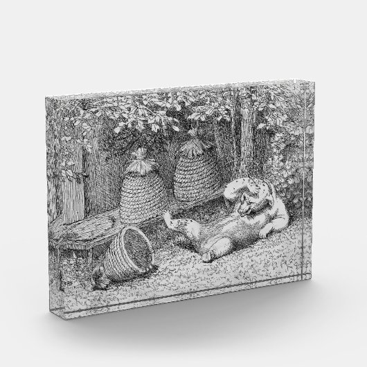 William H. Beard - Bear Stung by Bees フォトブロック (左)