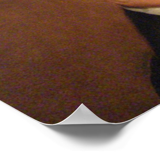 William Henry Harrison ポスター (角)