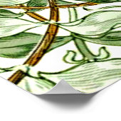 William Morris – グリーンと金ゴールドのハニーサックル ポスター (角)