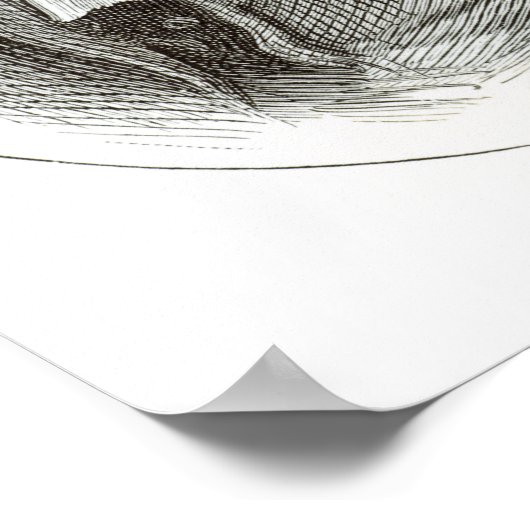 William Penn  engraved by Josiah Wood Whymper ポスター (角)