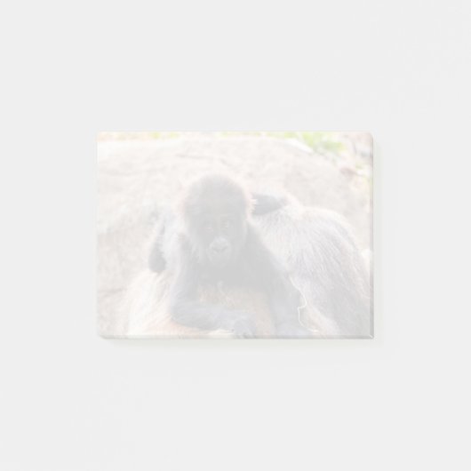 Willie B III at Zoo Atlanta (2023) ポストイット (正面)