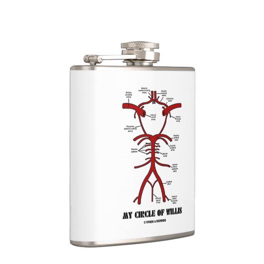 Willisの解剖血循環の私の円 フラスク (右)