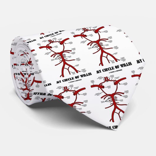Willis (動脈の解剖ユーモア)の私の円 ネクタイ (ロール)