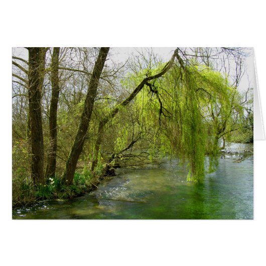 Willow on the Riverテストカード (正面横)