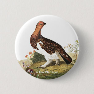 Willow Ptarmigan著John James Audubon Birder Bird著 缶バッジ