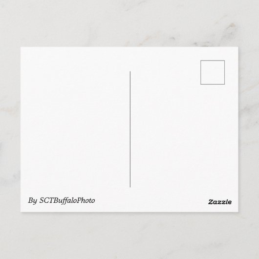 Willow Tree Postcard ポストカード (裏面)