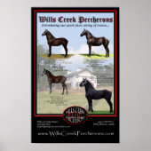 WILLS CREEK PERCHERONS 2006 SHOW STRING ポスター (正面)