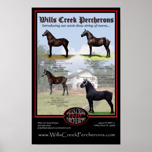WILLS CREEK PERCHERONS 2006 SHOW STRING ポスター (正面)
