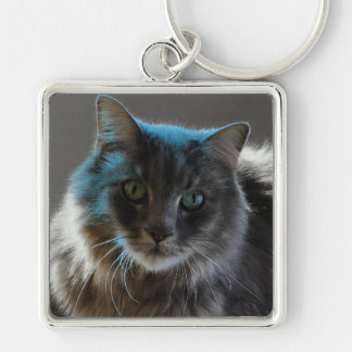 Willy Boy Majestic Long-Haired Grey Cat キーホルダー