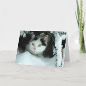 WiLSoNクリスマスグリーティングカード シーズンカード (正面)