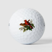 Wilson 500ゴルフボール素晴らし（鳥）ショウジョウコウカンチョウpr ゴルフボール (正面)