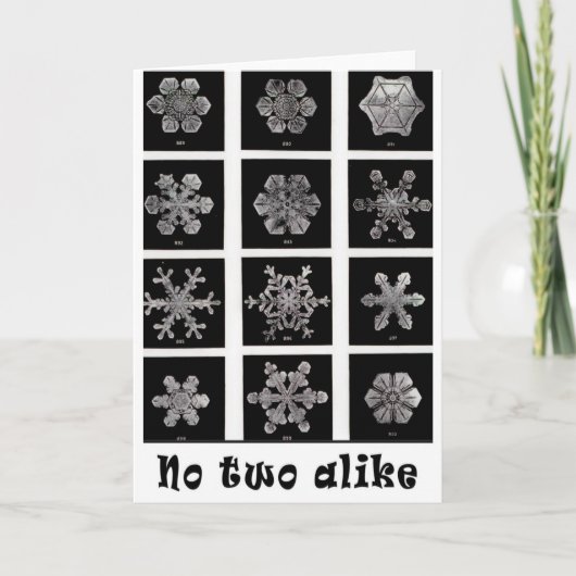 Wilson Bentley's Snowflakes, 1902 シーズンカード (正面)