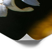 Wilted ポスター (角)