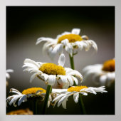 Wilted ポスター (正面)