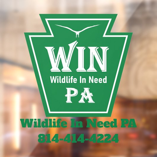 WIN Logo Window Cling ウィンドウサイン (シート2)