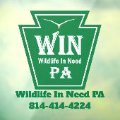 WIN Logo Window Cling ウィンドウサイン (シート3)