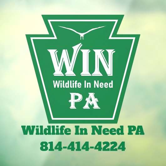 WIN Logo Window Cling ウィンドウサイン (シート3)