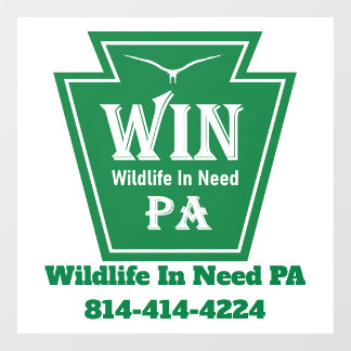 WIN Logo Window Cling-White background ウィンドウサイン