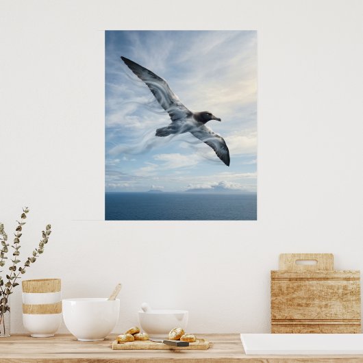 Wind Albatross Endless Ocean ポスター (キッチン)