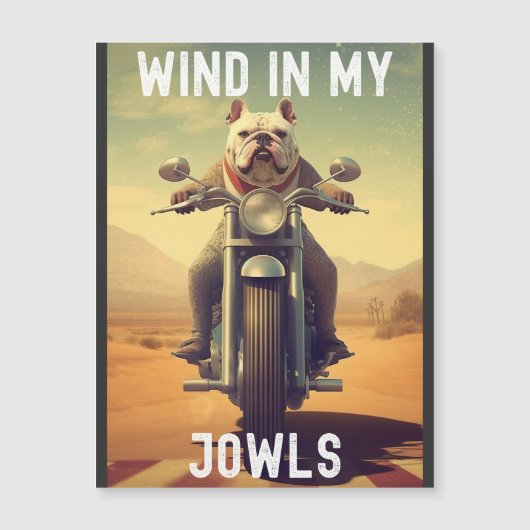 Wind in My Jowls ：バイクに乗るブルドッグ (正面)