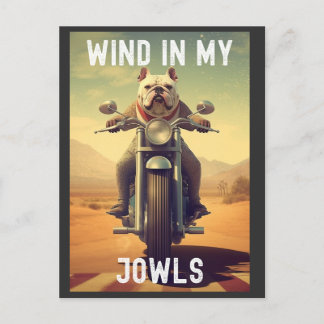 Wind in My Jowls :バイクに乗るブルドッグ ポストカード