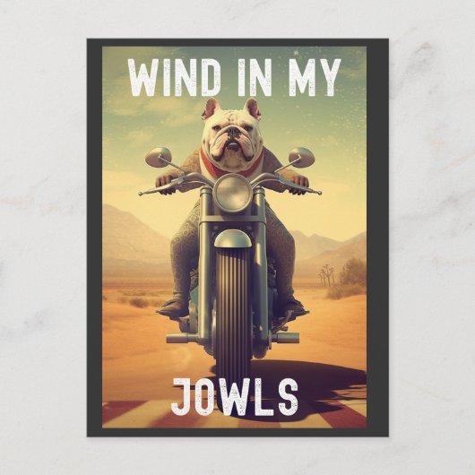 Wind in My Jowls :バイクに乗るブルドッグ ポストカード (正面)