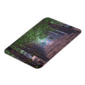 Wind in the Pines Flexible Magnet マグネット (左側)