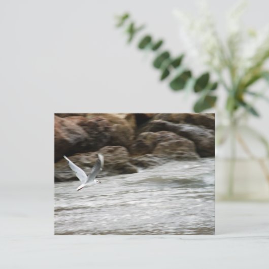 Wind Masterはがき ポストカード (スタンド正面)