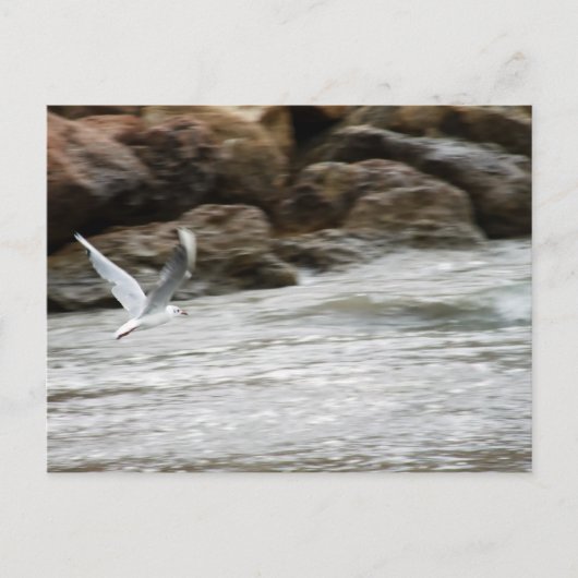 Wind Masterはがき ポストカード (正面)