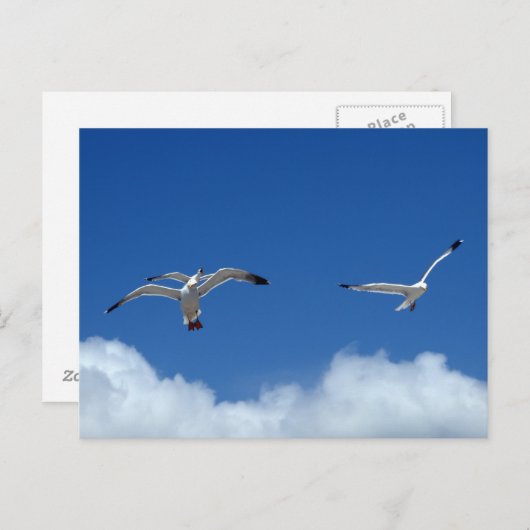 Wind Mastersはがき ポストカード (正面/裏面)