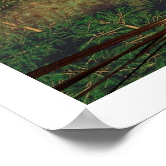 Wind Rider ポスター (角)