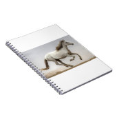 Wind.tifに対するLIN16 ノートブック (右側)