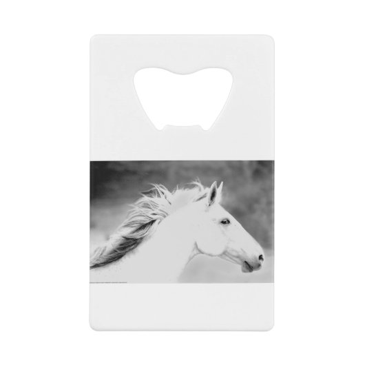 Wind.tifのLIN26BWの鬣 クレジットカード栓抜き (正面)