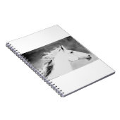 Wind.tifのLIN26BWの鬣 ノートブック (右側)