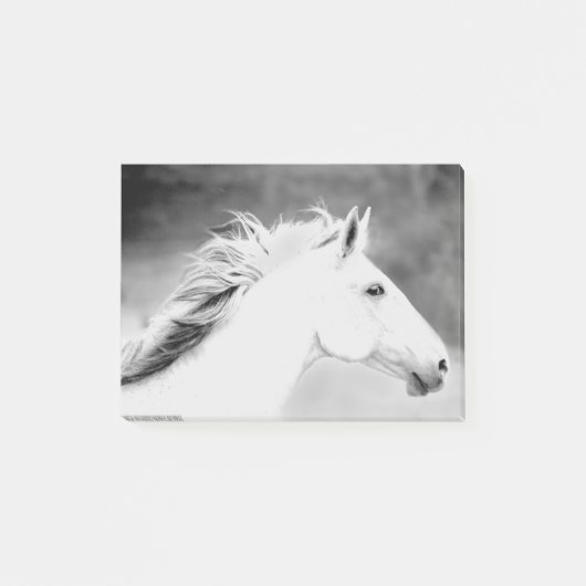 Wind.tifのLIN26BWの鬣 ポストイット (正面)