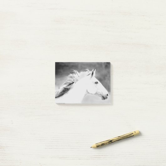 Wind.tifのLIN26BWの鬣 ポストイット (デスク上)