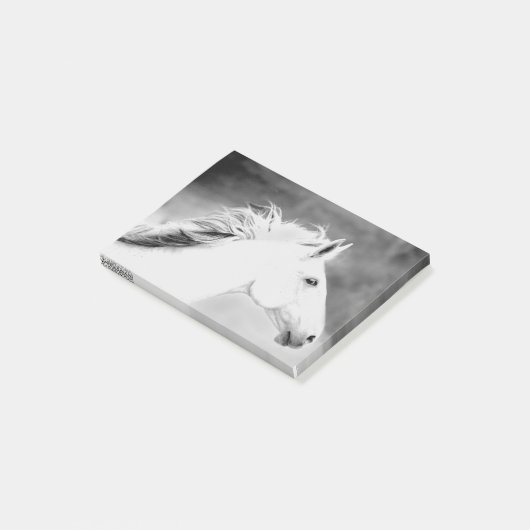 Wind.tifのLIN26BWの鬣 ポストイット (アングル)