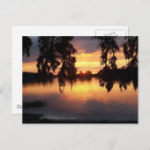 WiNdermere，フロリダのポストカードでの夕日 ポストカード (正面/裏面)