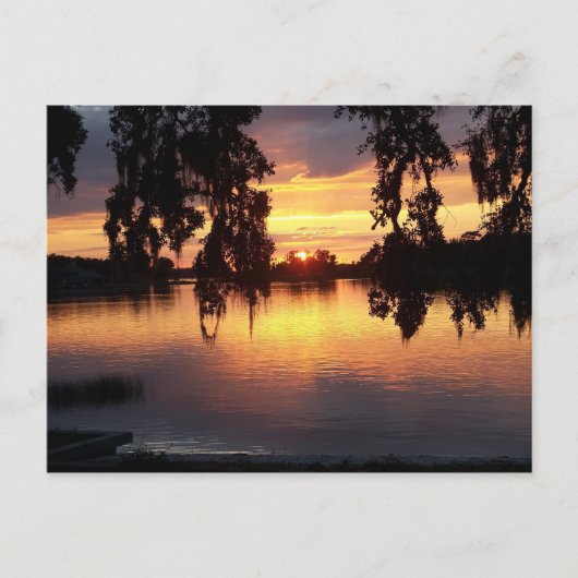 WiNdermere，フロリダのポストカードでの夕日 ポストカード (正面)