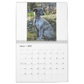 Windhoundの2011匹の絹の子犬 カレンダー (3月 2027)