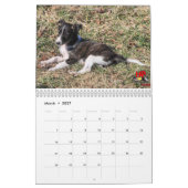 Windhoundの5匹の2016匹の絹の子犬のカレンダー カレンダー (3月 2027)