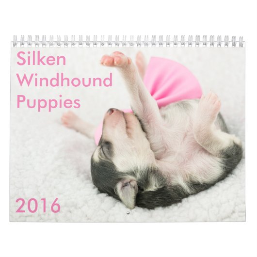 Windhoundの5匹の2016匹の絹の子犬のカレンダー カレンダー (カバー)
